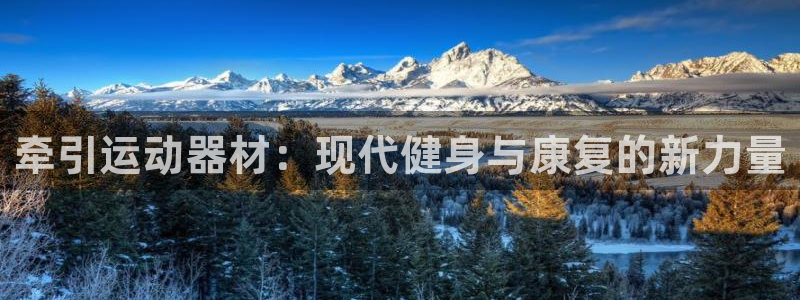 德国凯捷体育集团：牵引运动器材：现代健身与康复的新力量