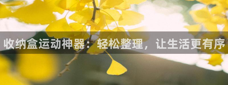 凯捷体育招商：收纳盒运动神器：轻松整理，让生活更有序