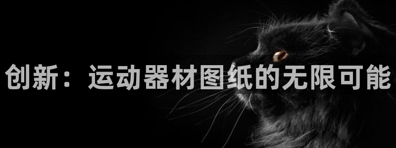 凯捷体育娱乐网站：创新：运动器材图纸的无限可能