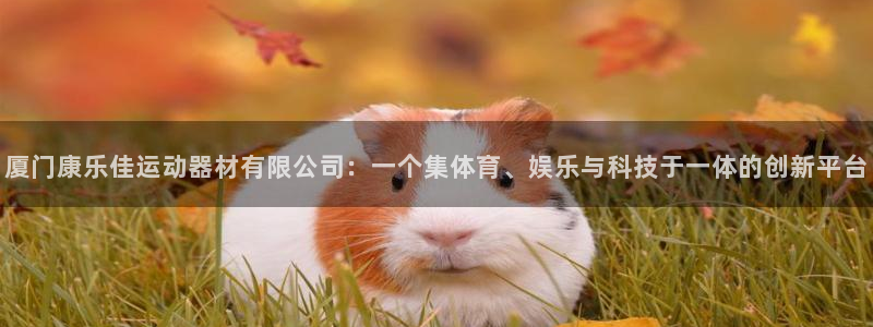 凯捷体育娱乐平台：厦门康乐佳运动器材有限公司：一个集体育、娱