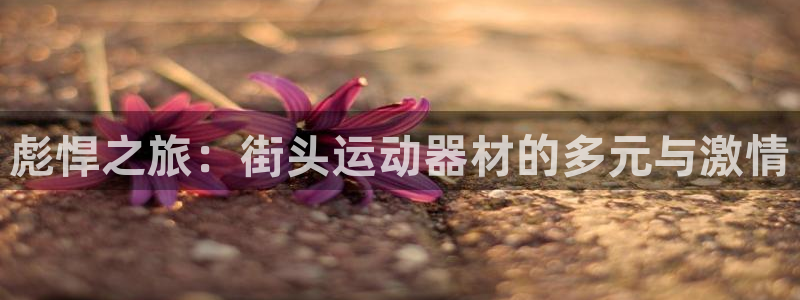 凯捷体育开户