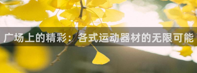 凯捷体育招商电话地址是多少：广场上的精彩：各式运动器材的无限