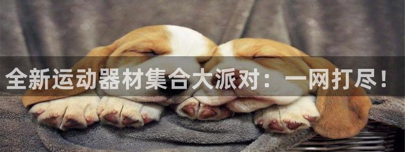 凯捷体育招商：全新运动器材集合大派对：一网打尽！