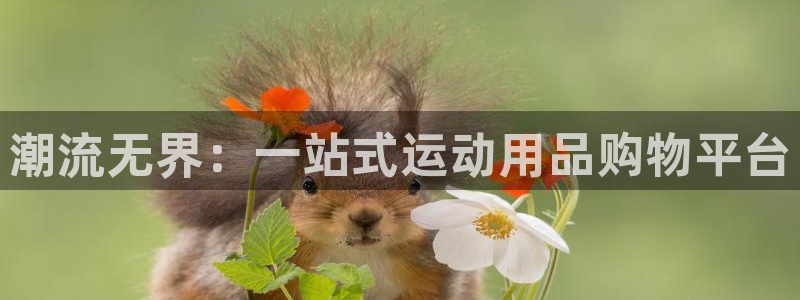 凯捷体育是干嘛的公司：潮流无界：一站式运动用品购物平台