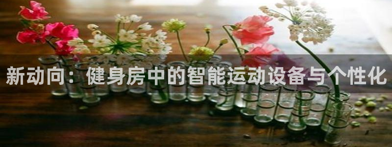 凯捷体育集团官网网址