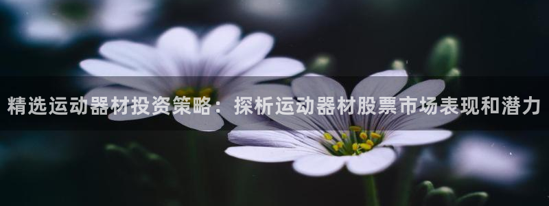 凯捷体育软件：精选运动器材投资策略：探析运动器材股票