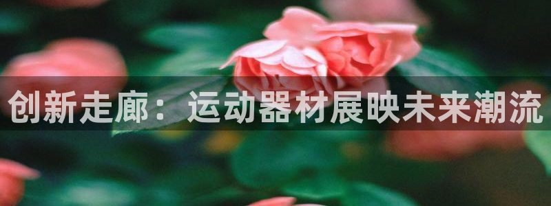 意昂集团官网：创新走廊：运动器材展映未来潮流
