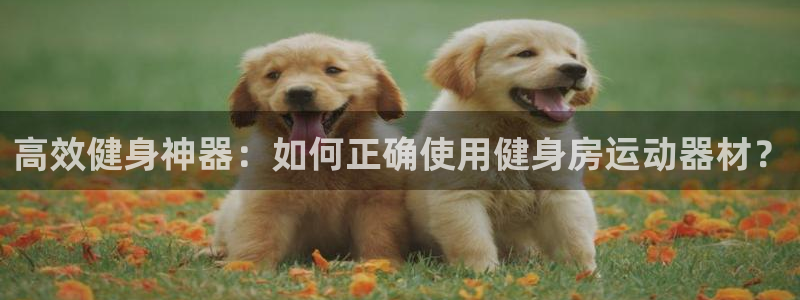 凯捷体育平台是正规平台吗：高效健身神器：如何正确使用