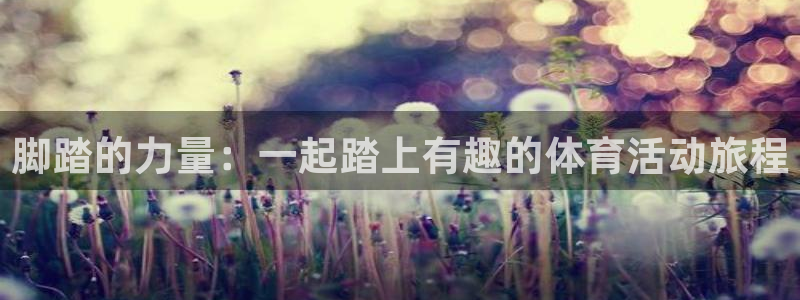 凯捷体育招商电话地址是多少
