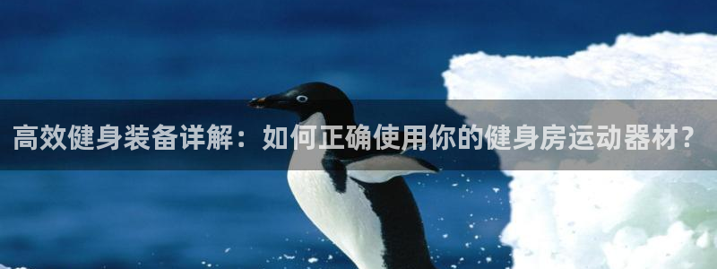 凯捷体育官方:高效健身装备详解:如何正确使用你的健身房运动器