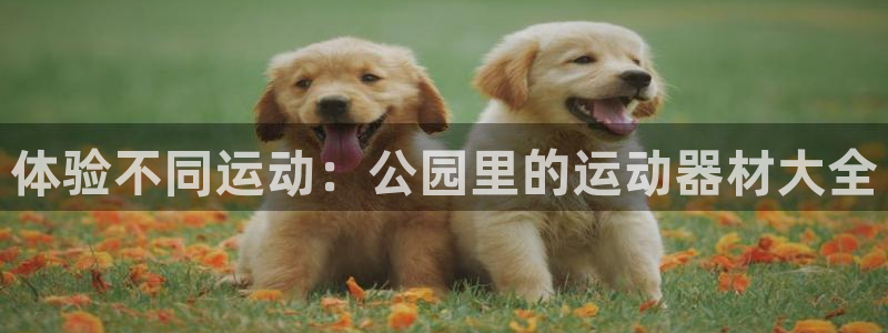 凯捷体育平台:体验不同运动:公园里的运动器材大全