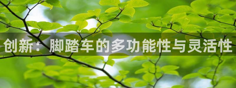 凯捷体育集团logo:创新:脚踏车的多功能性与灵活性