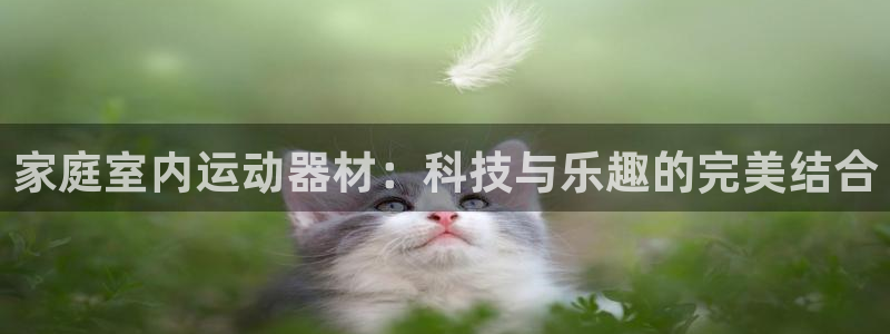 凯捷体育开户：家庭室内运动器材：科技与乐趣的完美结合