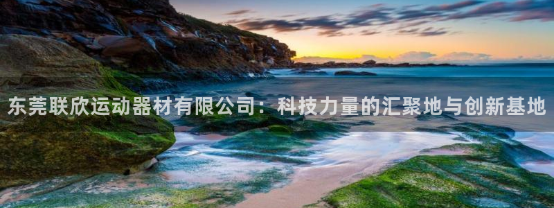 凯捷体育娱乐网站：东莞联欣运动器材有限公司：科技力量